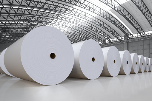 White Paper Rolls Pulp and Paper