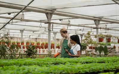 How Microbial Products and Bacteria strains Are Used in Different Industries