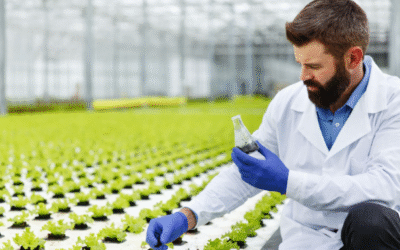 Agriculture Product Suppliers in the USA: How Does QEMI Ensure Quality and Sustainability?